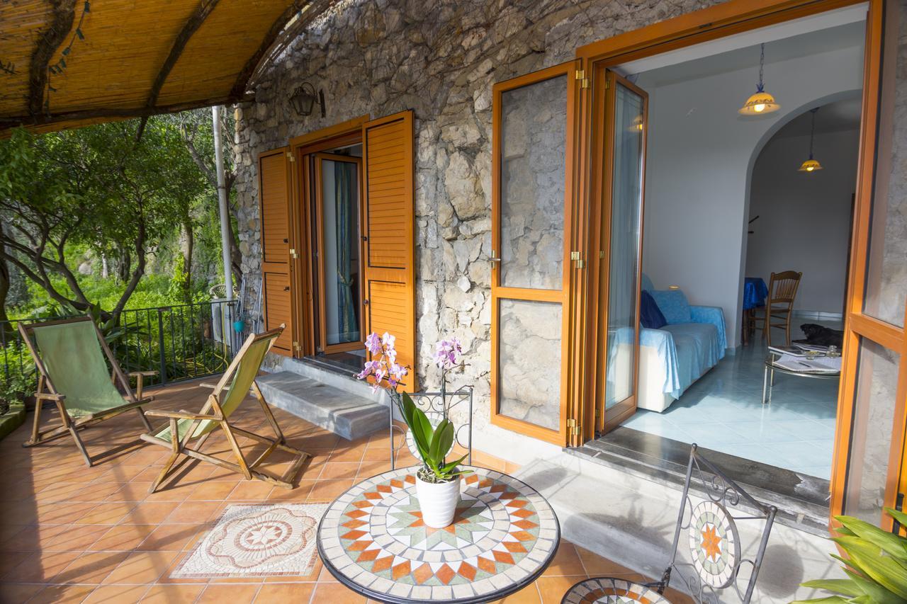 Le Nereidi B&B Positano Ngoại thất bức ảnh